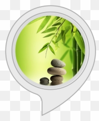 Ambient Sounds Music For Deep Relaxation Amazonca Alexa - Bamboo Paper For Bedroom Wall Emoji,Crickets Chirping Emoticon
