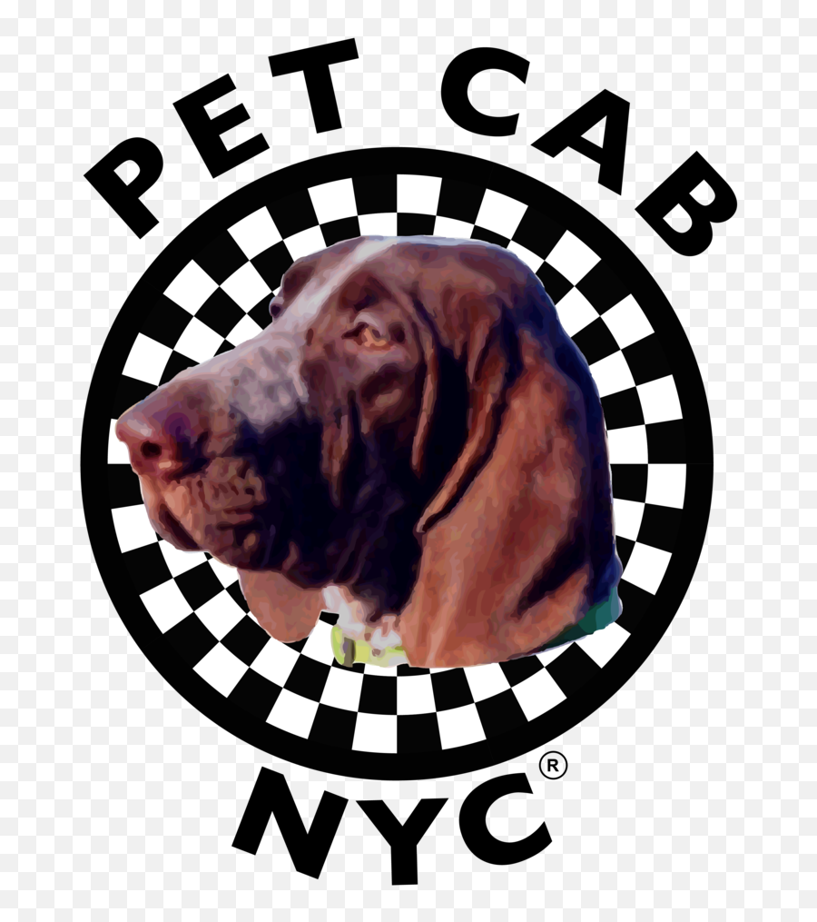 Pet Cab Nyc Emoji,Dog Emotion 50% Up