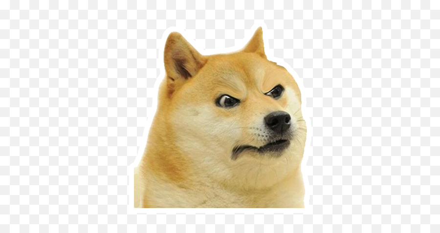 The Doge Stickers - Angry Doge Emoji,Doge Emoticons