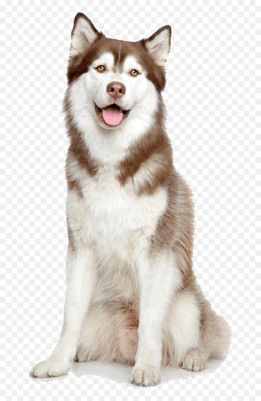 Blue Wilderness Chicken Dog Food - Happy Dog White Background Emoji,Husky Stages Of Emotion