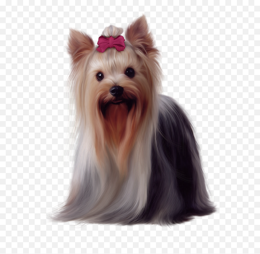 Clipart Puppy Yorkie Clipart Puppy - Yorkshire Terrier Dog Png Emoji,Yorkie Emoji