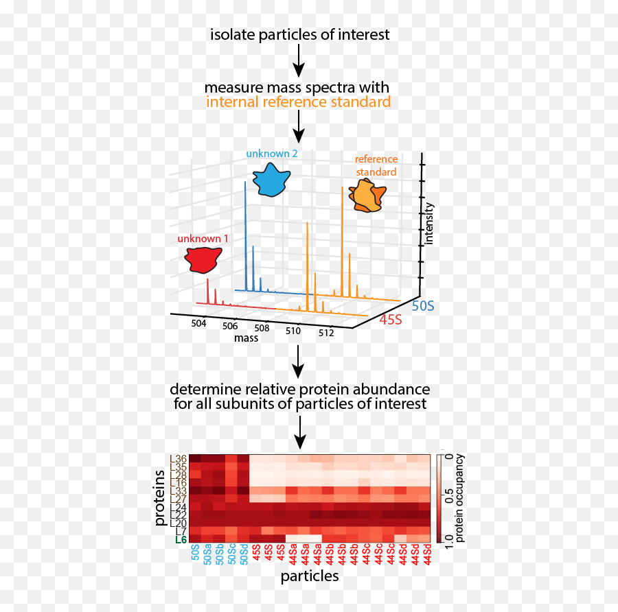 Methods Development U2014 Davis Lab Mit - Vertical Emoji,Emoji Motions