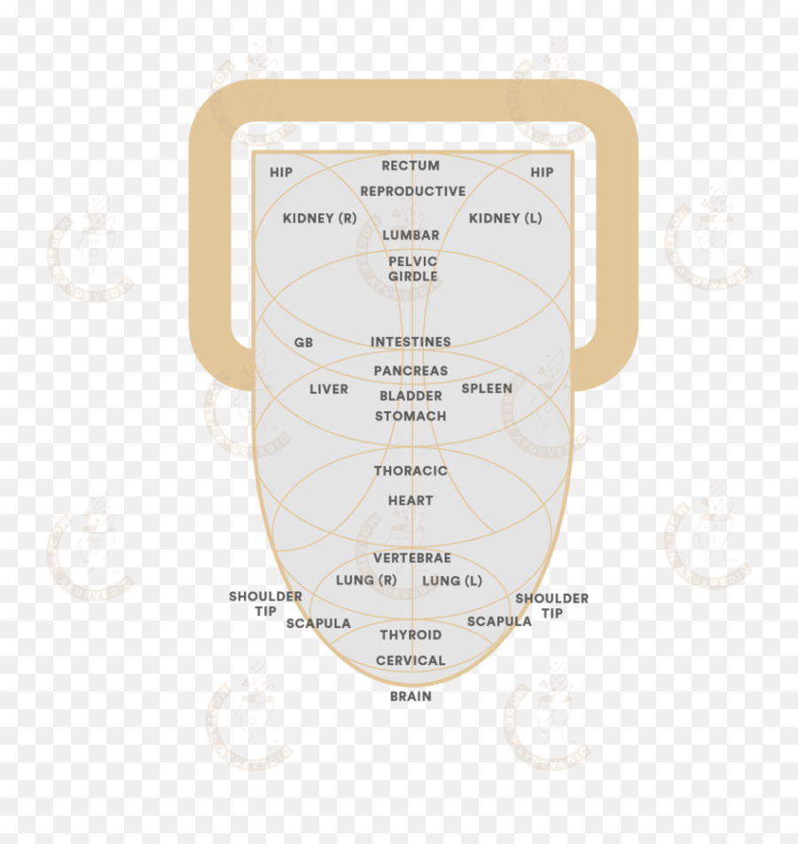 Ayurveda - Vertical Emoji,Pancreas Emojis