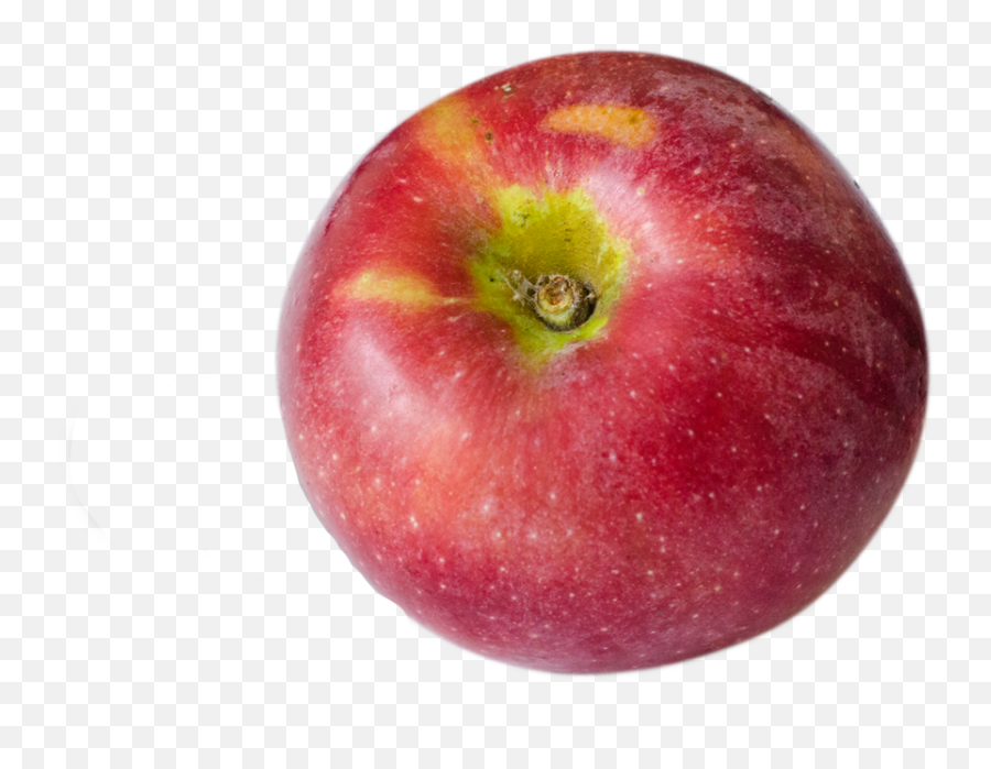 Wholesale U2014 Champlain Orchards Emoji,Apple Cider Dpnut Emoji