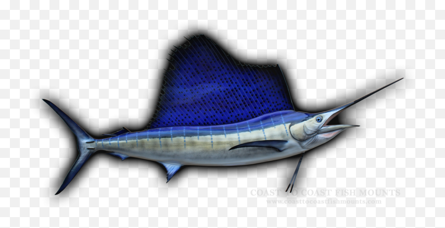 96 Sailfish Fish Mount Replica Emoji,Arowana Fish Emotion