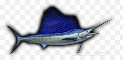 96 Sailfish Fish Mount Replica Emoji,Arowana Fish Emotion