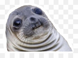 Why Do I Lose Tracking When I Connect My Quest Wit Emoji,Seal Emoji