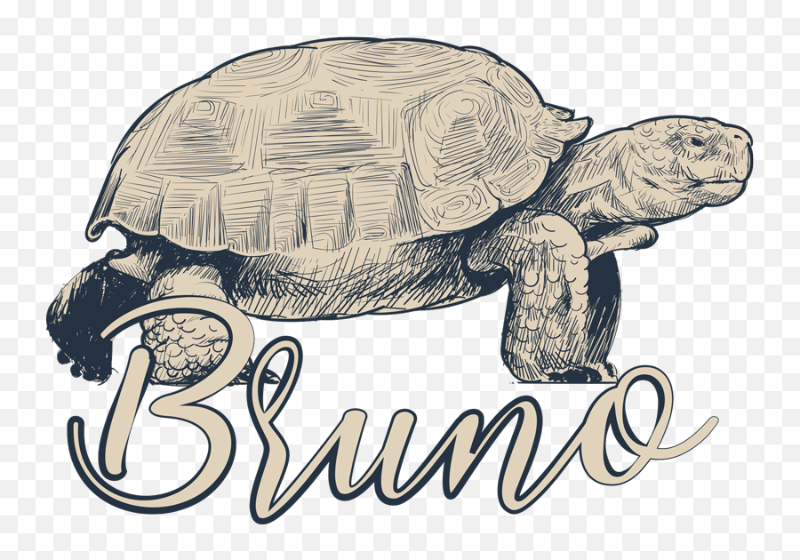 Turtles With Name Couple Shirts - Galápagos Tortoise Emoji,Funny Emoji Shirts