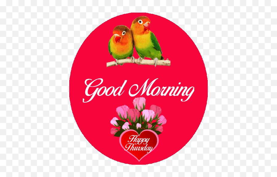 Download Funny Good Morning Happy Friday Gif Png U0026 Gif Base - Good Morning Gif With Birds Emoji,Happy Friday Emoji