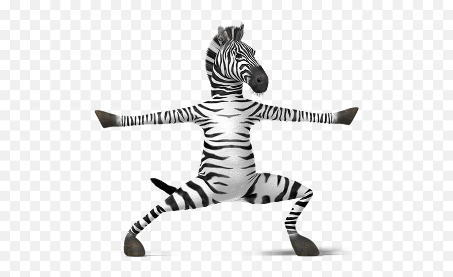 1602 Pallimed - Zebra Zen Emoji,Belie No Emotion