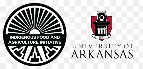 Llm Fellowship For 2021 - University Of Arkansas Nursing Logo Emoji,Food Emotions Disgust