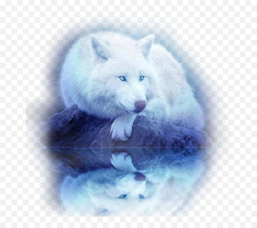 The Most Edited Wolves Picsart - Beautiful White Wolf Animal Emoji,Arctic Fox Laughing Emoji