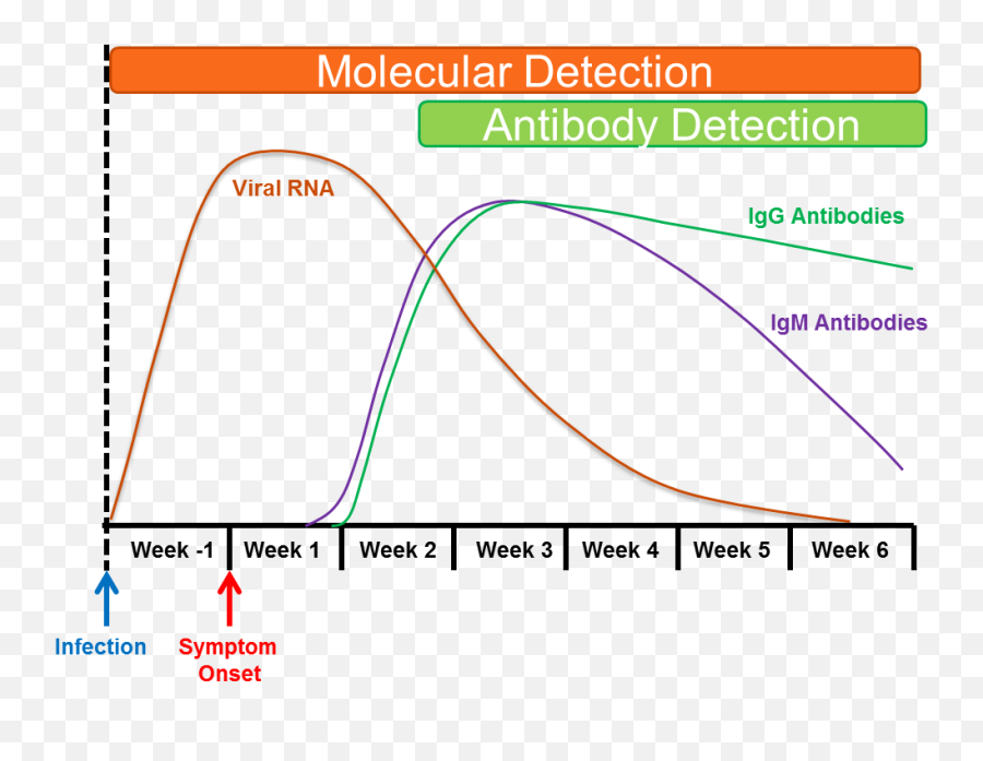 Antibody Detection National Covid - 19 Convalescent Plasma Plot Emoji,Professor Farnsworth Emoticon Facebook