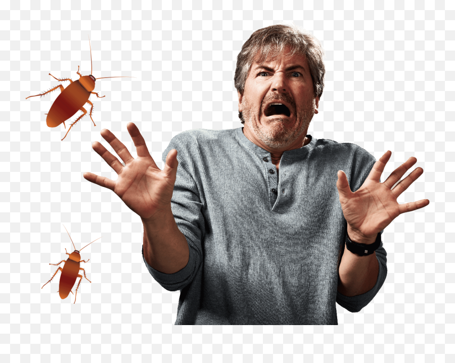 Bug - Cockroach Emoji,Facebook Cockroach Emoticon