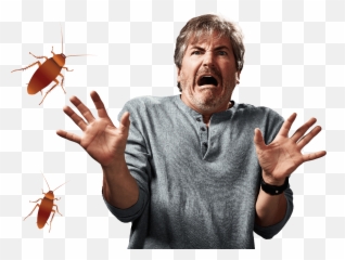 Bug - Cockroach Emoji,Facebook Cockroach Emoticon