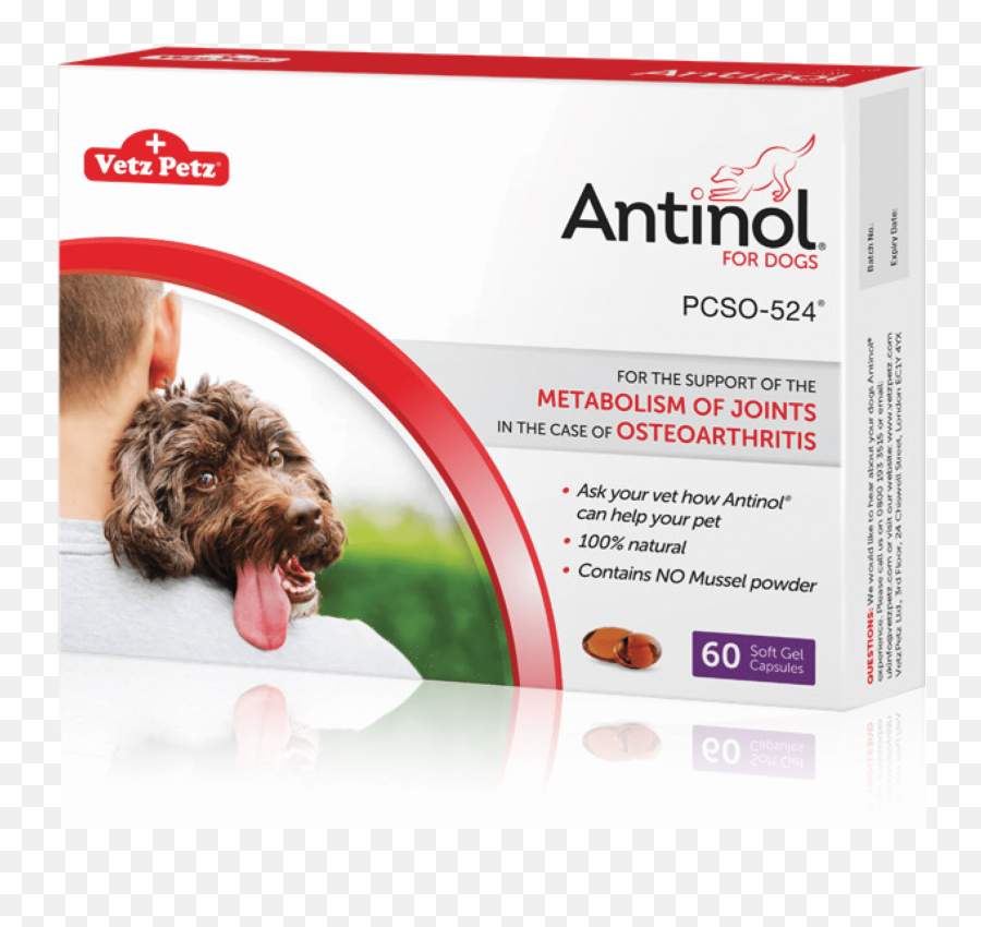 Vetz Petz Antinol Joint Care Emoji,Dog Jump Emotions