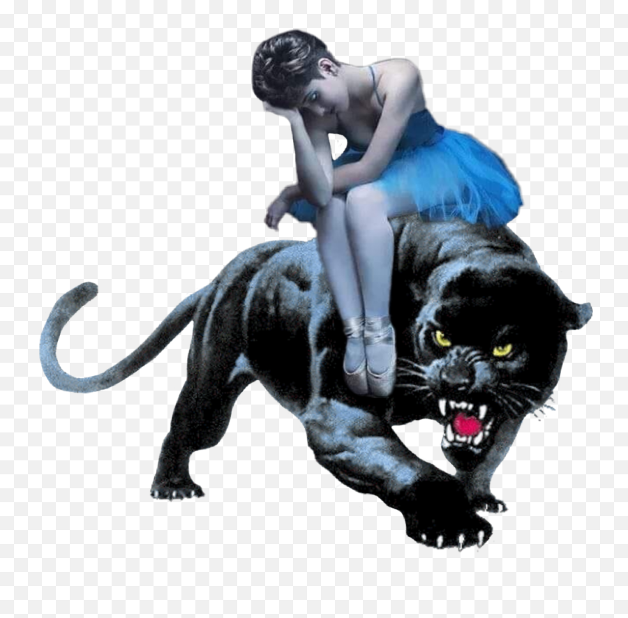 Panthers Sticker - Panthera Emoji,Panthers Emoji