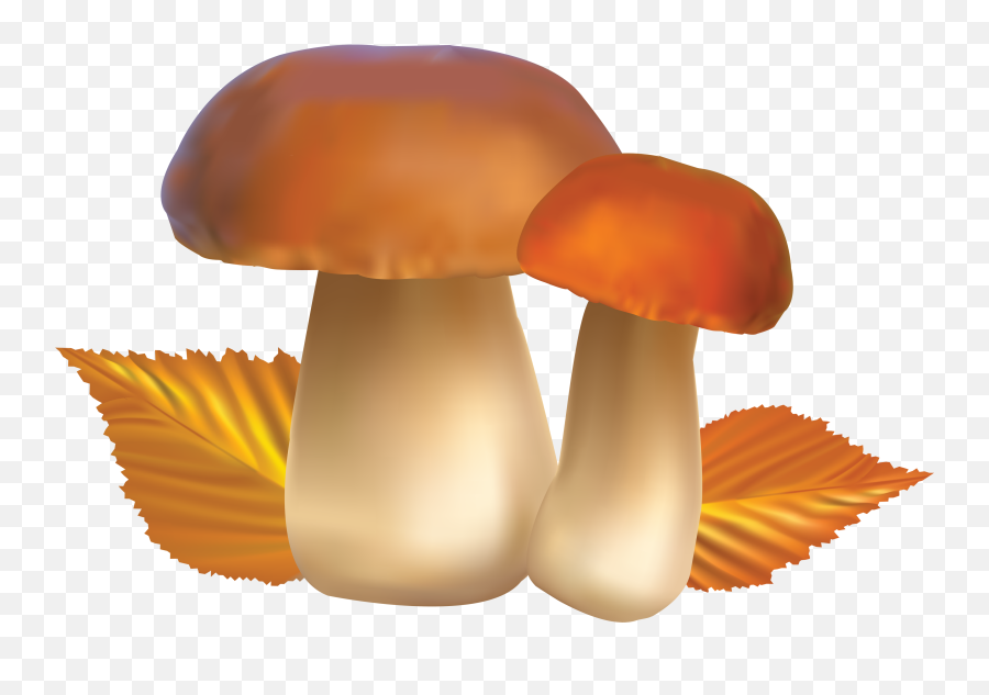 Mushroom Clipart Bing Images Mushrooms - Transparent Background Mushroom Clipart Transparent Emoji,Mushroom Emoji