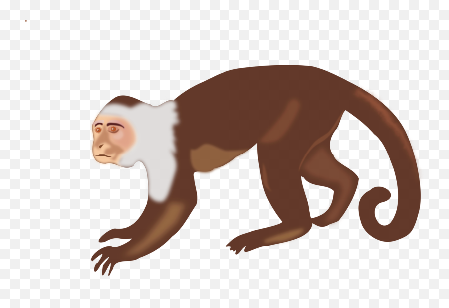 Capuchin Monkey Clip Art - Spider Monkey Clipart Emoji,Sock Monkey Emoji