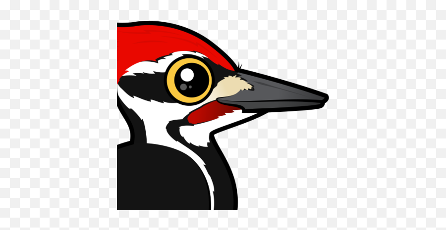 440x440 - Pileated Woodpecker Cartoon Emoji,Woodpecker Emoji