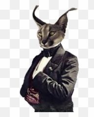 Bobcats Emoji,Bobcat Emoji