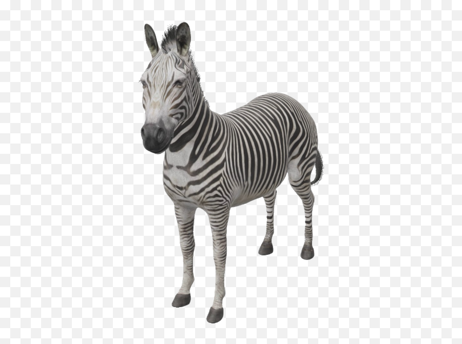 Google 3d Animals U0026 Ar Objects Full List U0026 Gallery - Zebra 3d Google Emoji,D News Animals Have Human Emotions