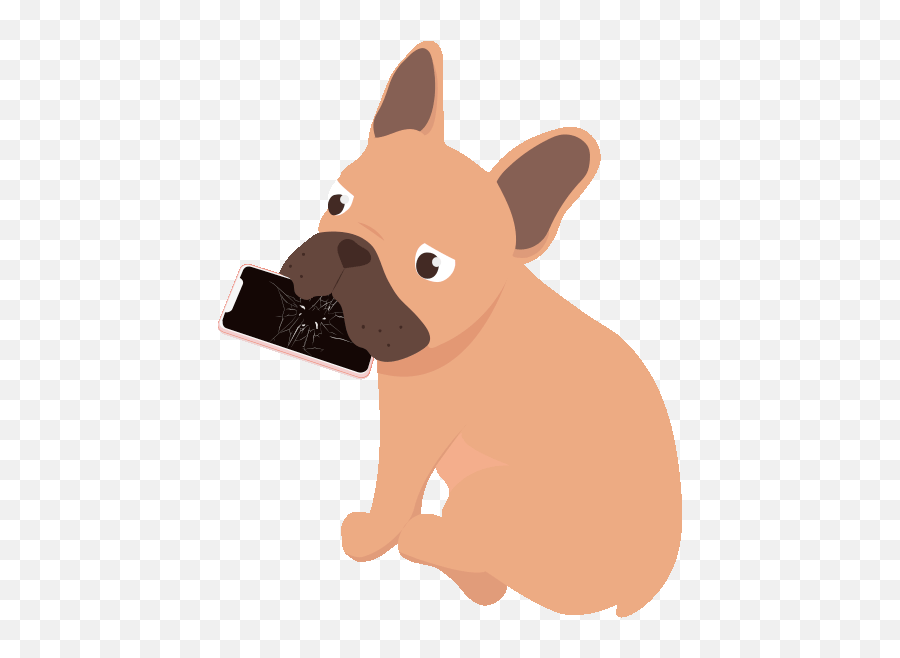 Latest Project Excuse Me Why Didn T You Put Water In - French Bulldog Animated Emoji,Bulldog Emojis