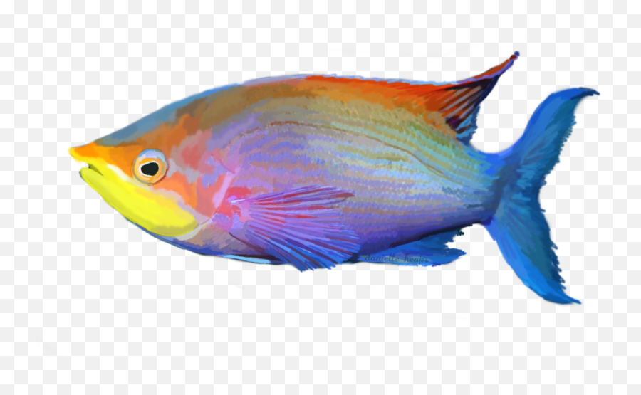 Grafixgirlireland 2 0 Tropical Fish By Grafixgirlireland - Tropical Fish Transparent Png Emoji,Tropical Fish Emoji