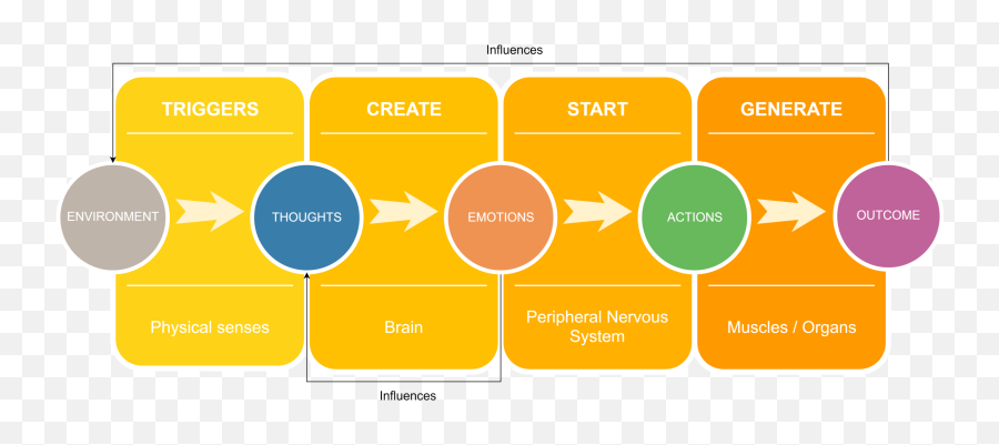 Fight Or Flight - The Anatomy Of Stress U2014 Animator Notebook Vertical Emoji,Nervous Emotion