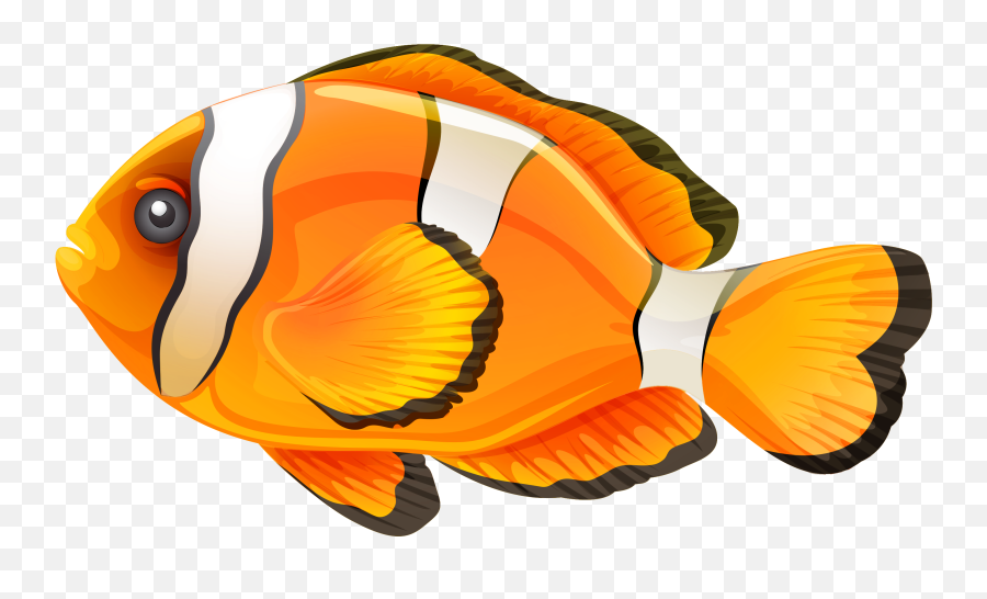 Emoji Clipart Fish Emoji Fish Transparent Free For Download - Fish Hd Images Png,Emoji Basketball 23