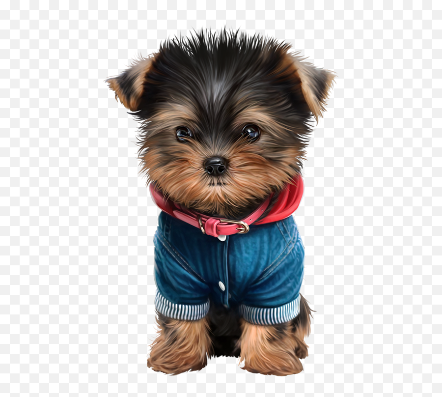 Paws Clipart Yorkie Paws Yorkie - Yorkie Puppy Transparent Background Emoji,Yorkie Emoji