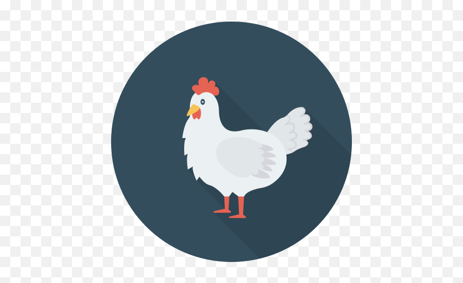 22 Chicken Icon Png - Kemprot Blog Chicken Icon Png Emoji,Rooster + Chicken Leg Emoji