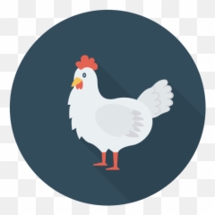 22 Chicken Icon Png - Kemprot Blog Chicken Icon Png Emoji,Rooster + Chicken Leg Emoji