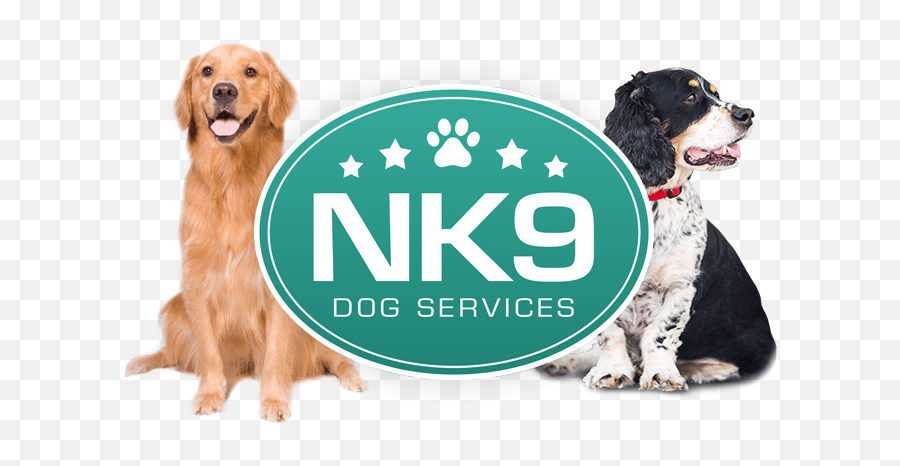 About Natalie Kaye - Nk9 Dog Training Leeds Gold Retriver Png Emoji,An Introduction To Dog Intelligence And Emotion