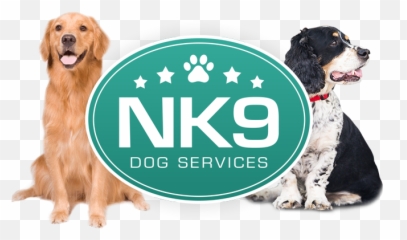 About Natalie Kaye - Nk9 Dog Training Leeds Gold Retriver Png Emoji,An Introduction To Dog Intelligence And Emotion