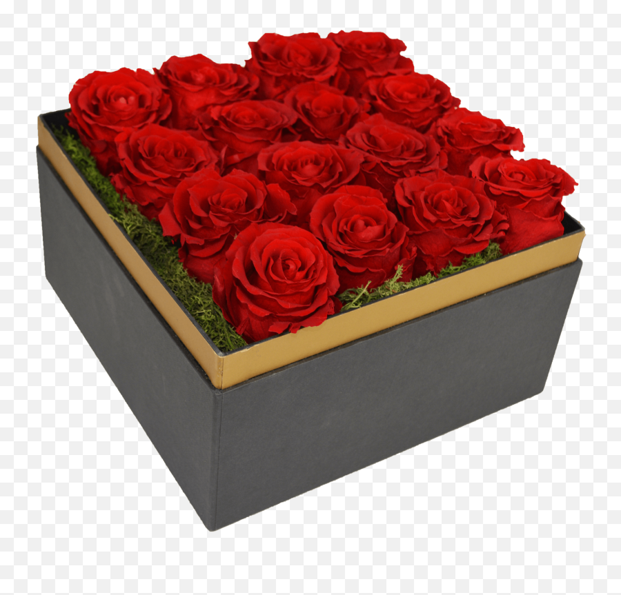 Beautifully Preserved Roses From Luxe Bloom Official Rose - Day Emoji,What Emotion Does Beauty And The Beast Song Share