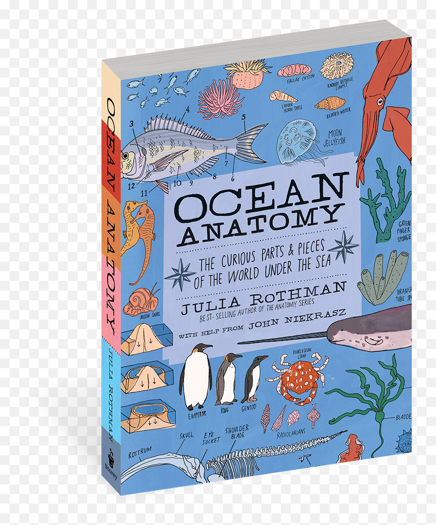 Books U2013 Pink Olive - Julia Rothman Ocean Anatomy Emoji,Emotion Devotion Eyes Big As The Ocean