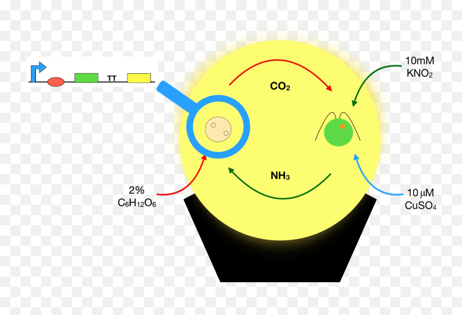 Alivelighttm Developing A Natural Light Generating Machine Emoji,Emoticon Yes No Maybe