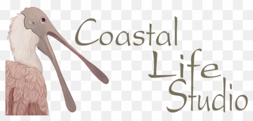 Barbara Fallenbaumu0027s Coastal Life Studio Emoji,Emotion Of Pelicans