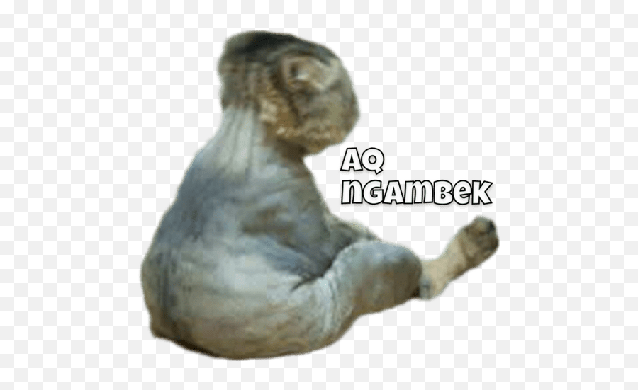 Odading Emoji,Mang Emoji Odading Emoji,Mang Emoji