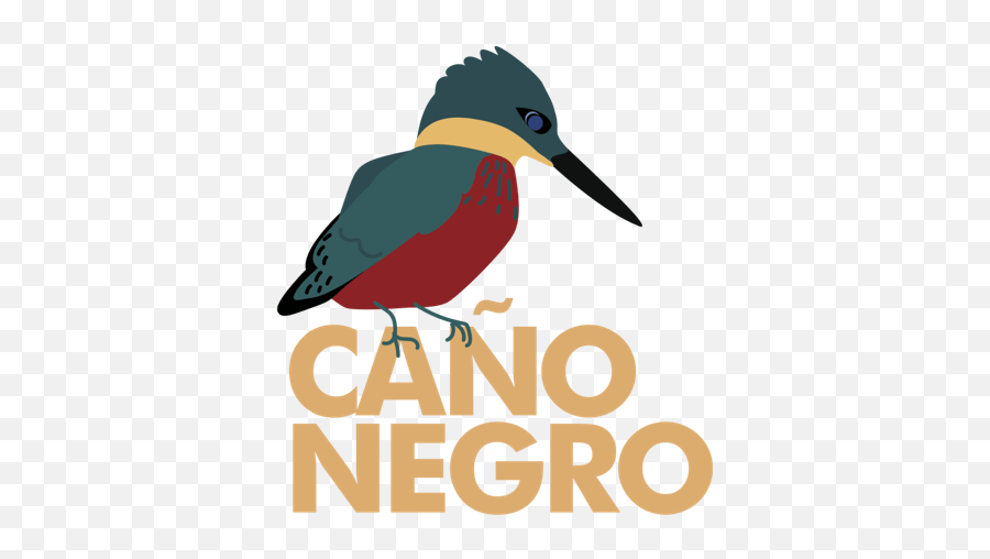 Aves De Costa Rica Emoji,Costa Rica Emoji