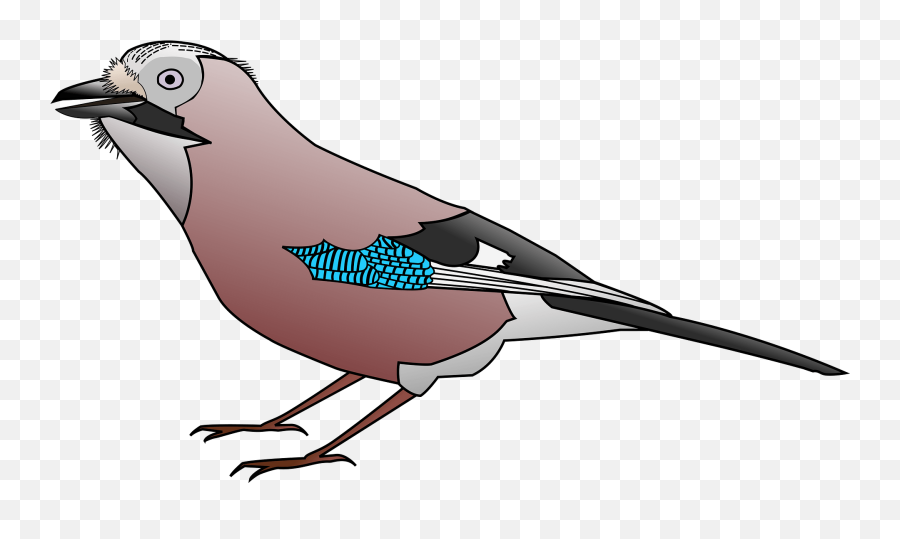 Jay Clipart - Clip Art Jay Bird Emoji,Blue Jay Emoji