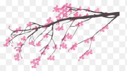 Josei On Tumblr - Galhos De Cerejeira Emoji,Work Emotion Xt7 R18