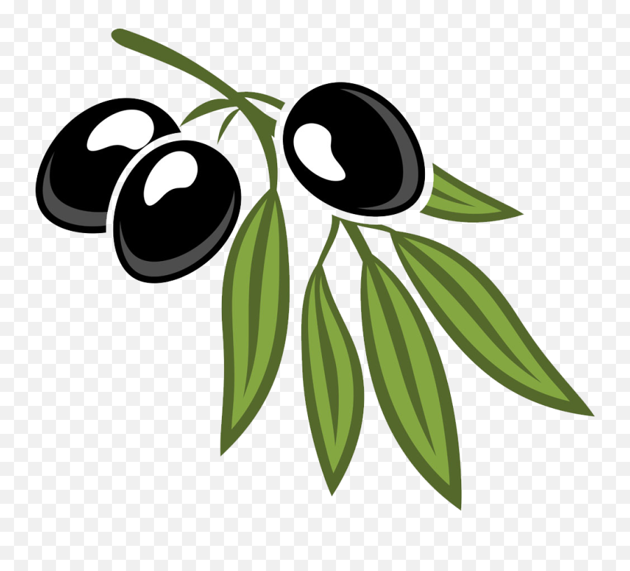 Leaf Cartoon Royalty Free Olives And Foliage - Cartoon Cartoon Picture Of Olive Emoji,Olive Emoji