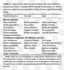 The Boreal - Document Emoji,Ice Burga Mixed Emotions
