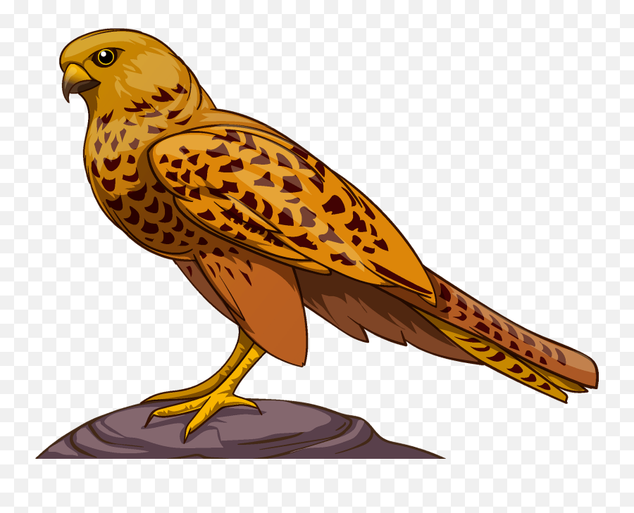 Falcon Clipart Free Download Transparent Png Creazilla - Falcon Clipart Emoji,Hawk Emoji