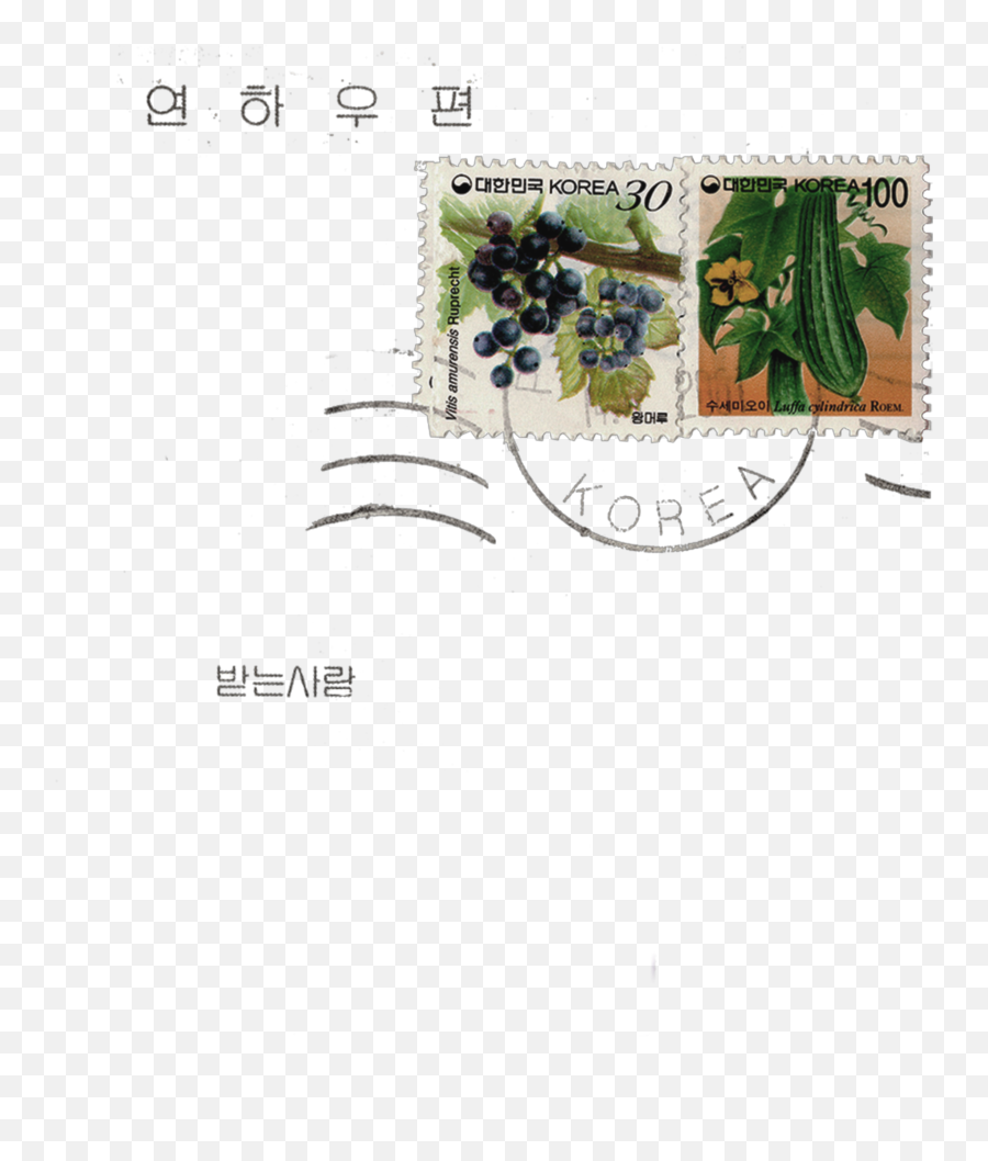 Stamp Korea Filler Sticker - Superfood Emoji,100 Emoji Stamp