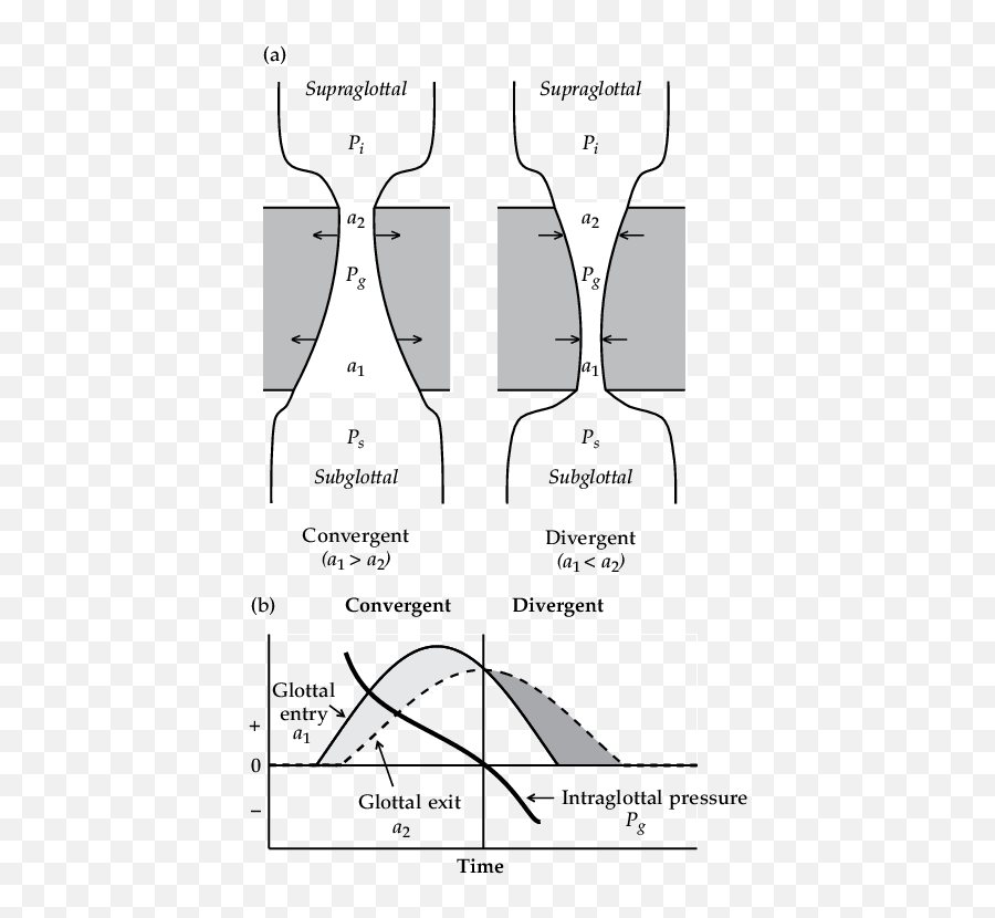 9 Demonstration Of The Vibration Mechanism Based On - Convergent And Divergent Vocal Folds Emoji,Pca Shape Free Emotion