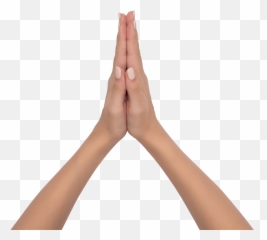 Fotos De Stock Gratis Emoji,Emoticon Rezando Fondo Transparente