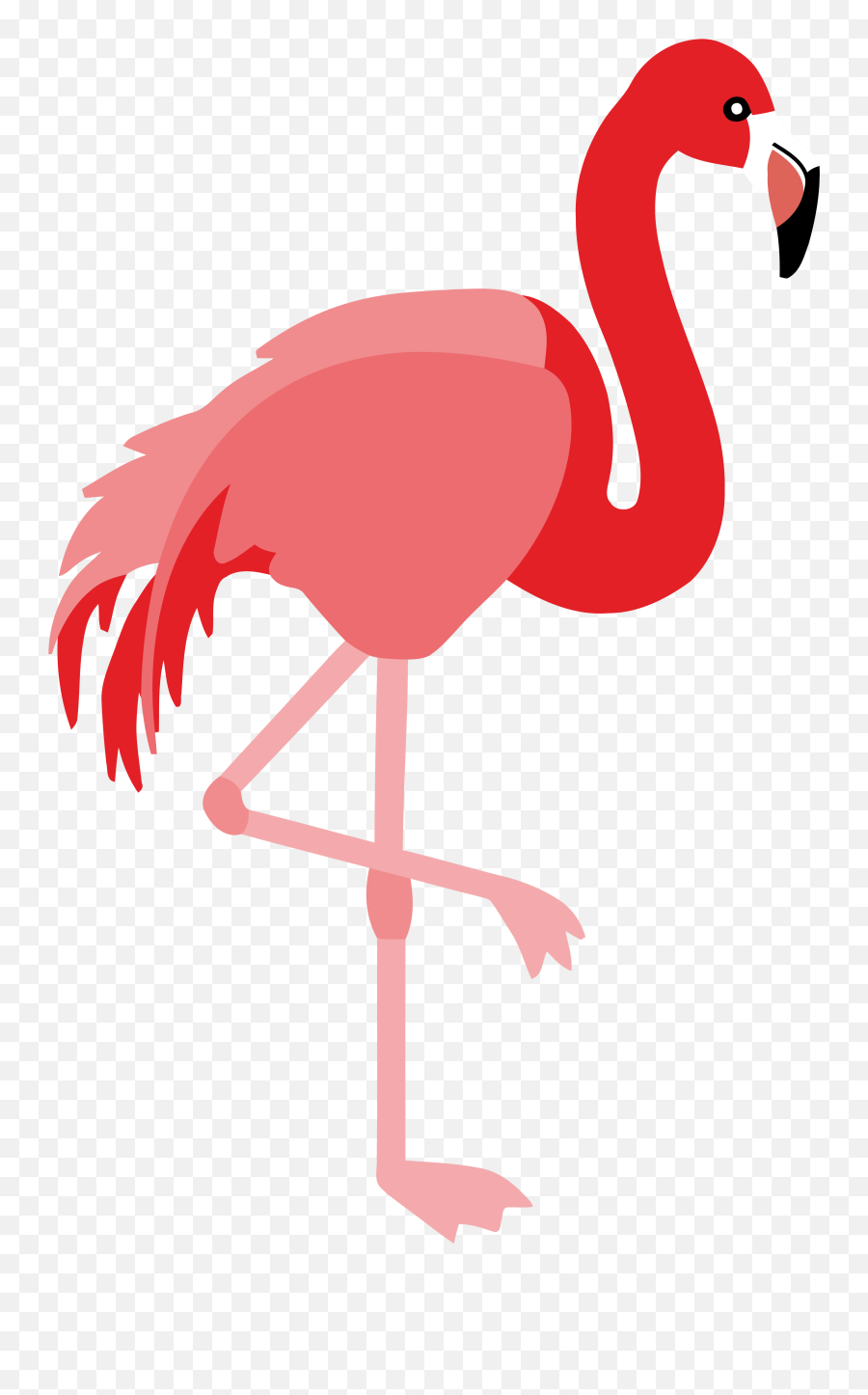 Flamingo Clipart Png - Flamingo Bird Vector Png Emoji,Flamongo Emoji